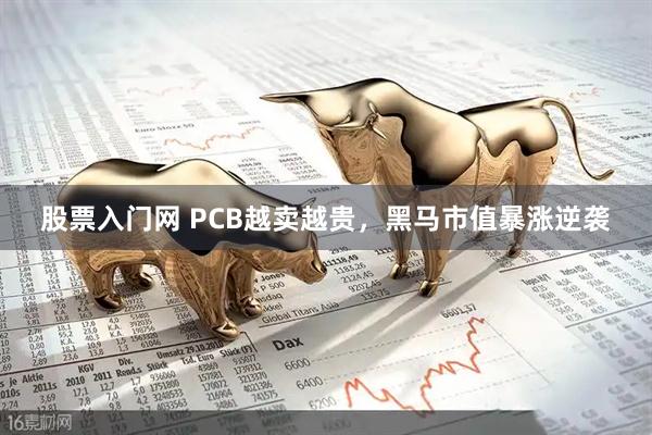 股票入门网 PCB越卖越贵，黑马市值暴涨逆袭
