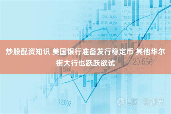 炒股配资知识 美国银行准备发行稳定币 其他华尔街大行也跃跃欲试